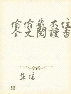 偷偷藏不住小说全文阅读番外封面