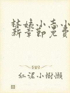 林姨小志小说最新章节免费阅读封面