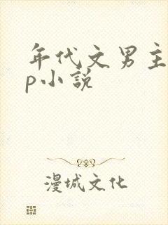 年代文男主无cp小说封面