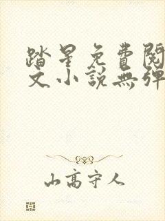 踏星免费阅读全文小说无弹窗封面