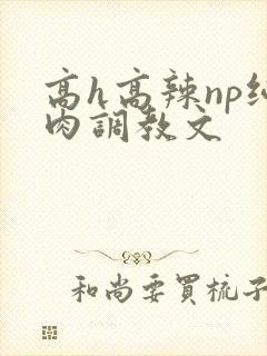 高h高辣np纯肉调教文
