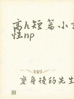 高h短篇小说双性np封面