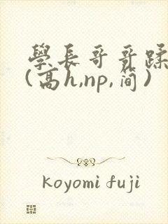 学长哥哥蹂躏你(高h,np,简)