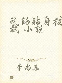 我的贴身校花总裁 小说