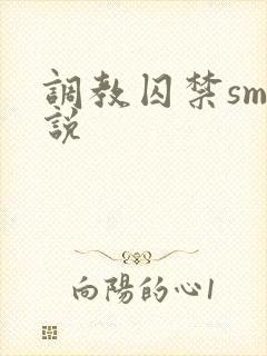 调教囚禁sm小说封面