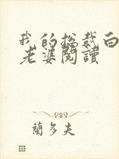 我的总裁白富美老婆阅读封面