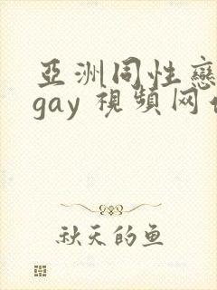 亚洲同性恋男 gay 视频网站
