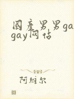 国产男男gaygay网站封面