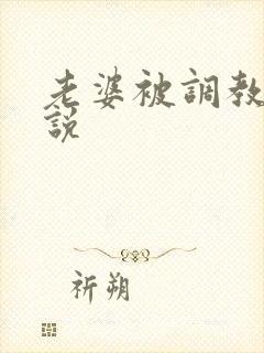 老婆被调教的小说封面