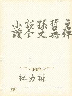 小说孙哲免费阅读全文无弹窗