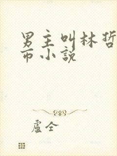 男主叫林哲的都市小说封面