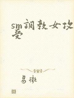 sm调教女攻男受