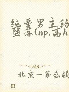 纯爱男主的肉欲堕落(np,高h)_