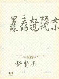 男主姓陆女主姓苏的现代小说