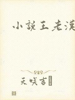 小说王老汉李茹