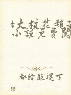 t大校花赵若芸小说免费阅读封面