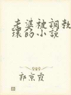 老婆被调教穿乳环的小说封面