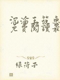 沉沦王筱惠全文免费阅读最新章节列