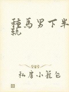 种马男下半身出轨封面