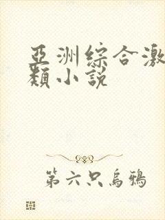 亚洲综合激情另类小说