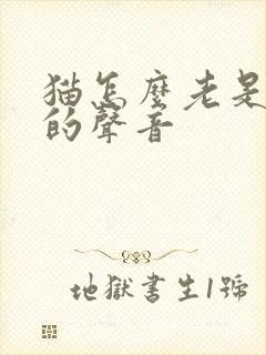 猫怎么老是咕咕的声音封面