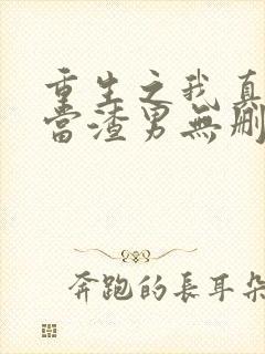 重生之我真没想当渣男无删减封面