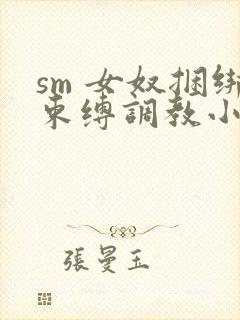 sm 女奴捆绑束缚调教小说