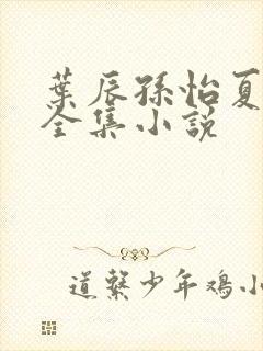 叶辰孙怡夏若雪全集小说