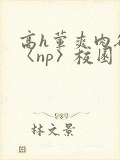 高h荤爽肉欲文〈np〉校园