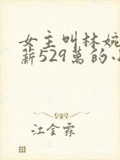 女主叫林婉清年薪529万的小说