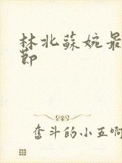 林北苏婉最新章节