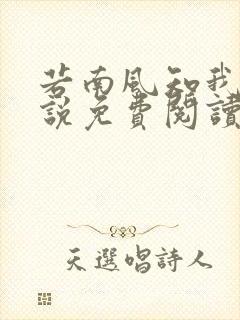 若南风知我意小说免费阅读无弹窗封面