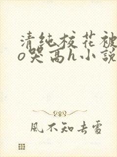 清纯校花被cao哭高h小说