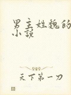 男主姓魏的古言小说