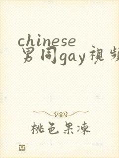 chinese男同gay视频free网站封面