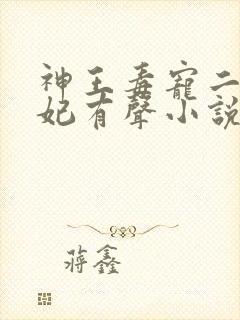 神王毒宠二嫁王妃有声小说