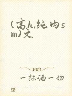 (高h,纯肉sm)文