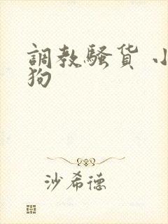 调教骚货 小母狗