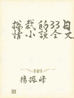 总裁的33日索情小说全文免费封面
