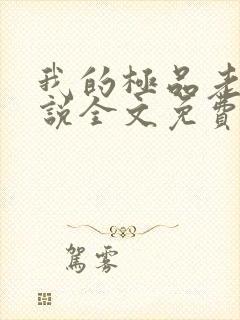 我的极品老婆小说全文免费阅读