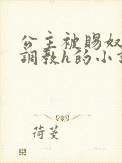 公主被赐奴当众调教h的小说