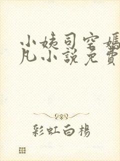 小姨司空嫣然叶凡小说免费阅读全文