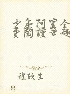 少年阿宾全文免费阅读笔趣阁封面