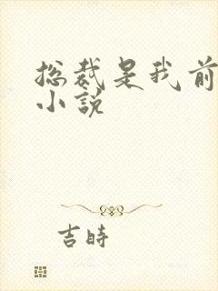 总裁是我前女友小说