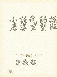 小说我的总裁大老婆完整版