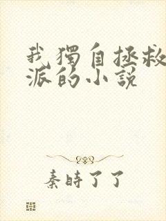 我独自拯救女反派的小说封面