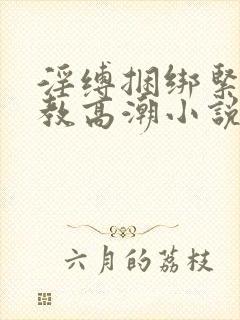 淫缚捆绑紧缚调教高潮小说