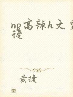 np高辣h文皇后