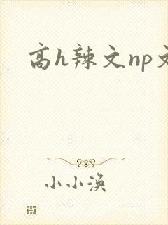 高h辣文np文