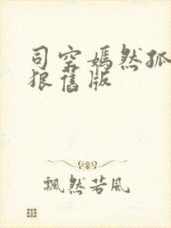 司空嫣然孤寂之狼旧版封面